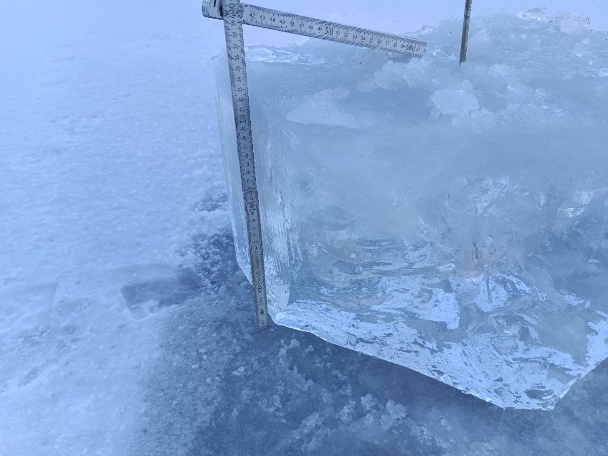 d5129183-a3e5-473a-a8cd-46f6f5eb471c