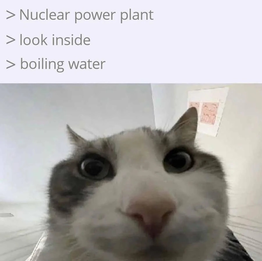 d410989b-4d8a-4bc0-a0f8-cbbe531a47aa