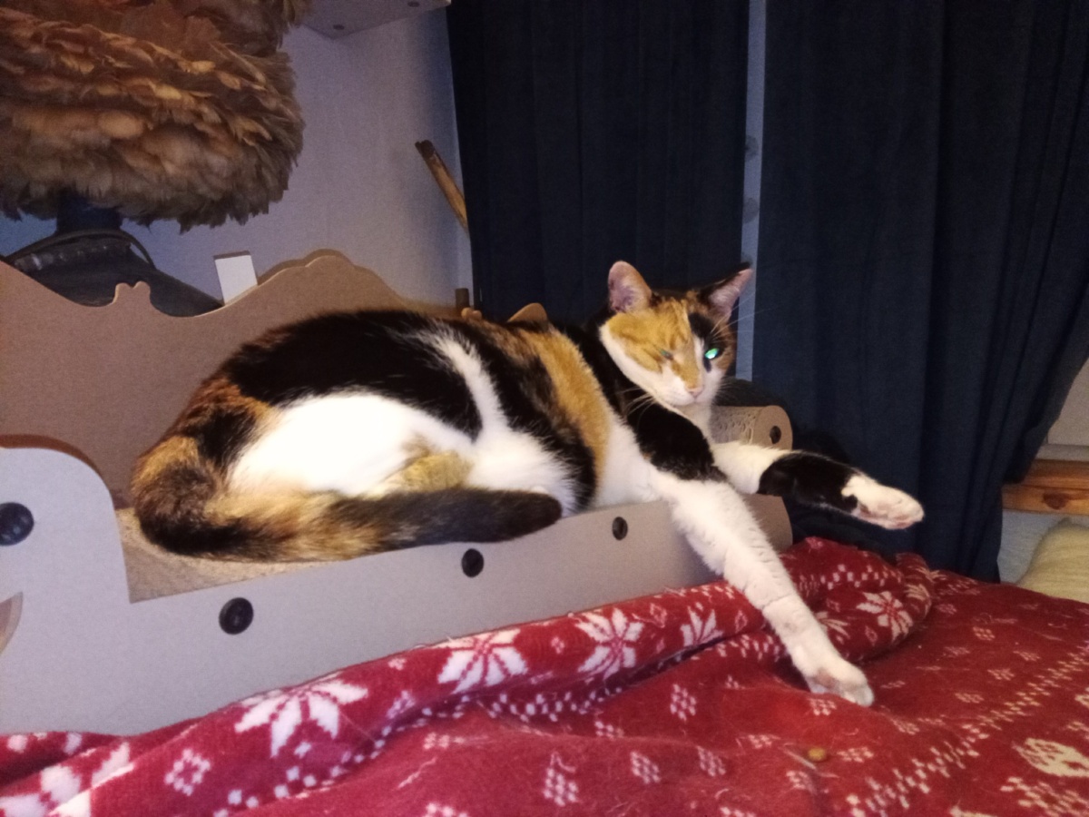 89a62313-a88c-47c5-b9d6-05ca9b735dfb