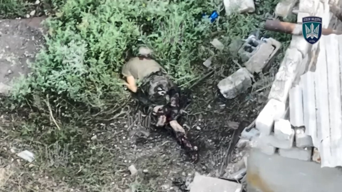 d02200a8-639f-44dc-b33e-03f98ad2549d