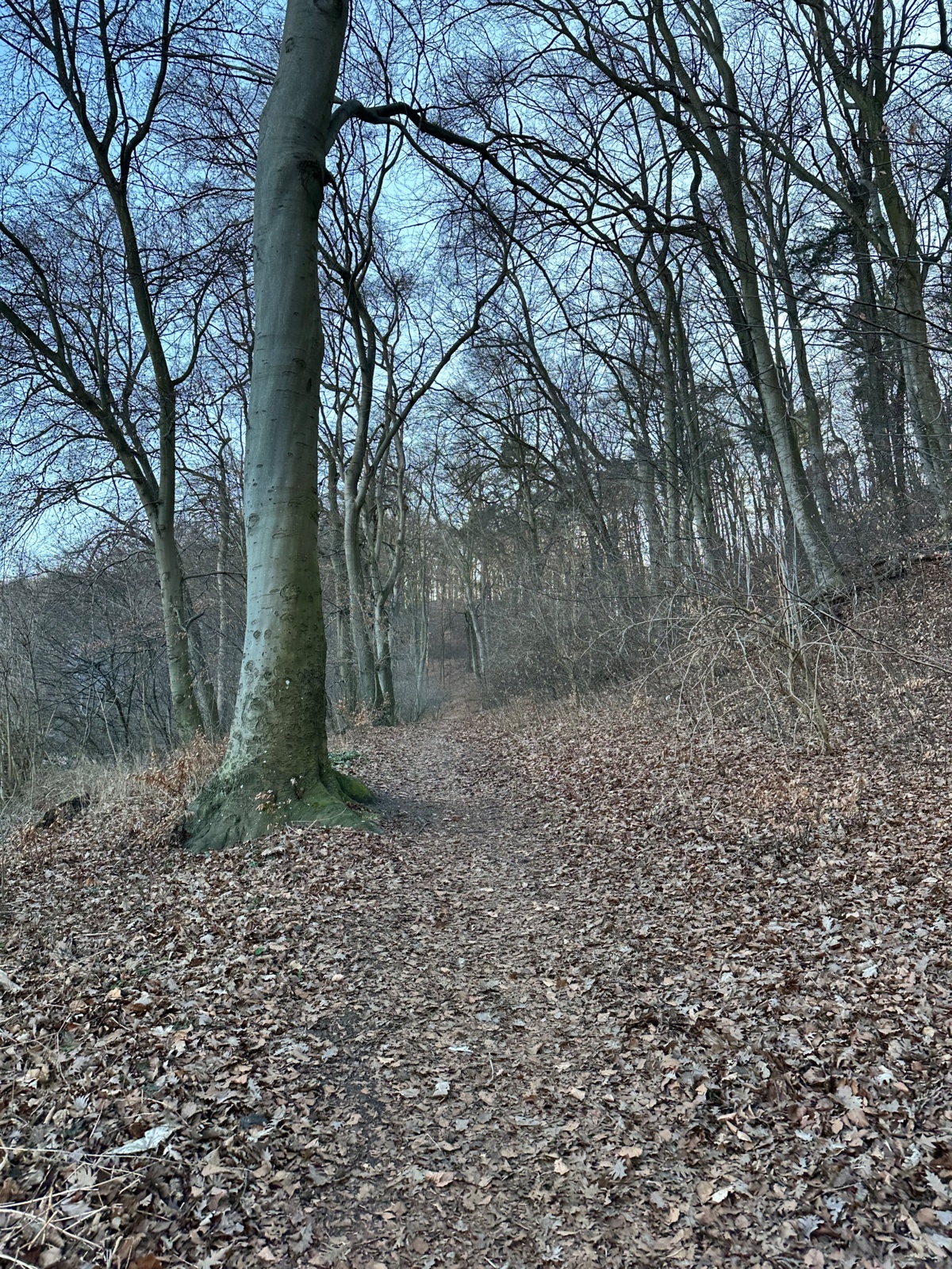 d6edabce-04a2-45b9-9681-c64aec14799b