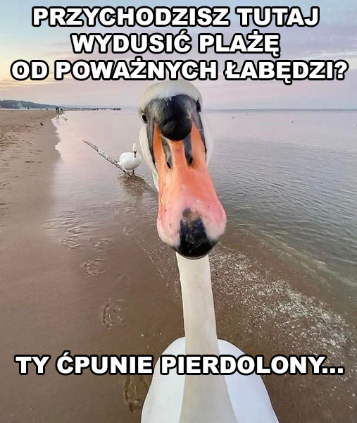 70167339-56f2-498e-9535-9ea048961584