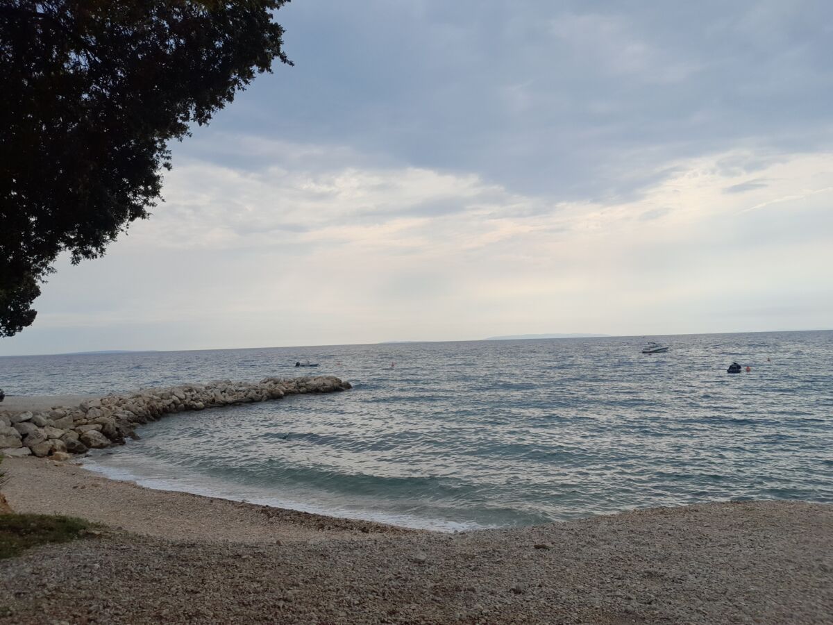 421ecaa3-cc0a-48bb-96f8-2612cb6ae6a9