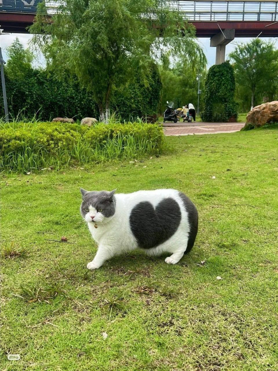 6ac63d64-52bb-4dd2-a3fb-792b41be3520