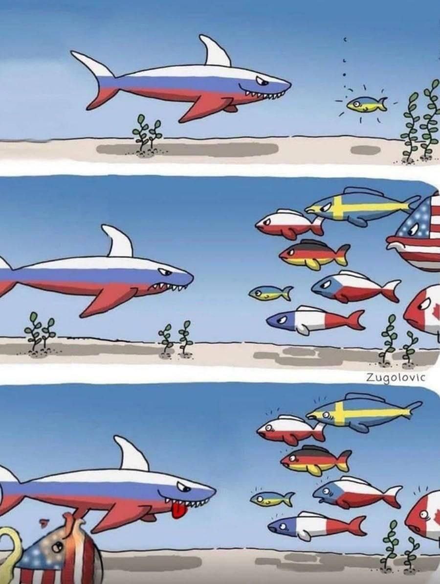 a00a638c-8c38-4ee2-8d6d-4964365ca48b