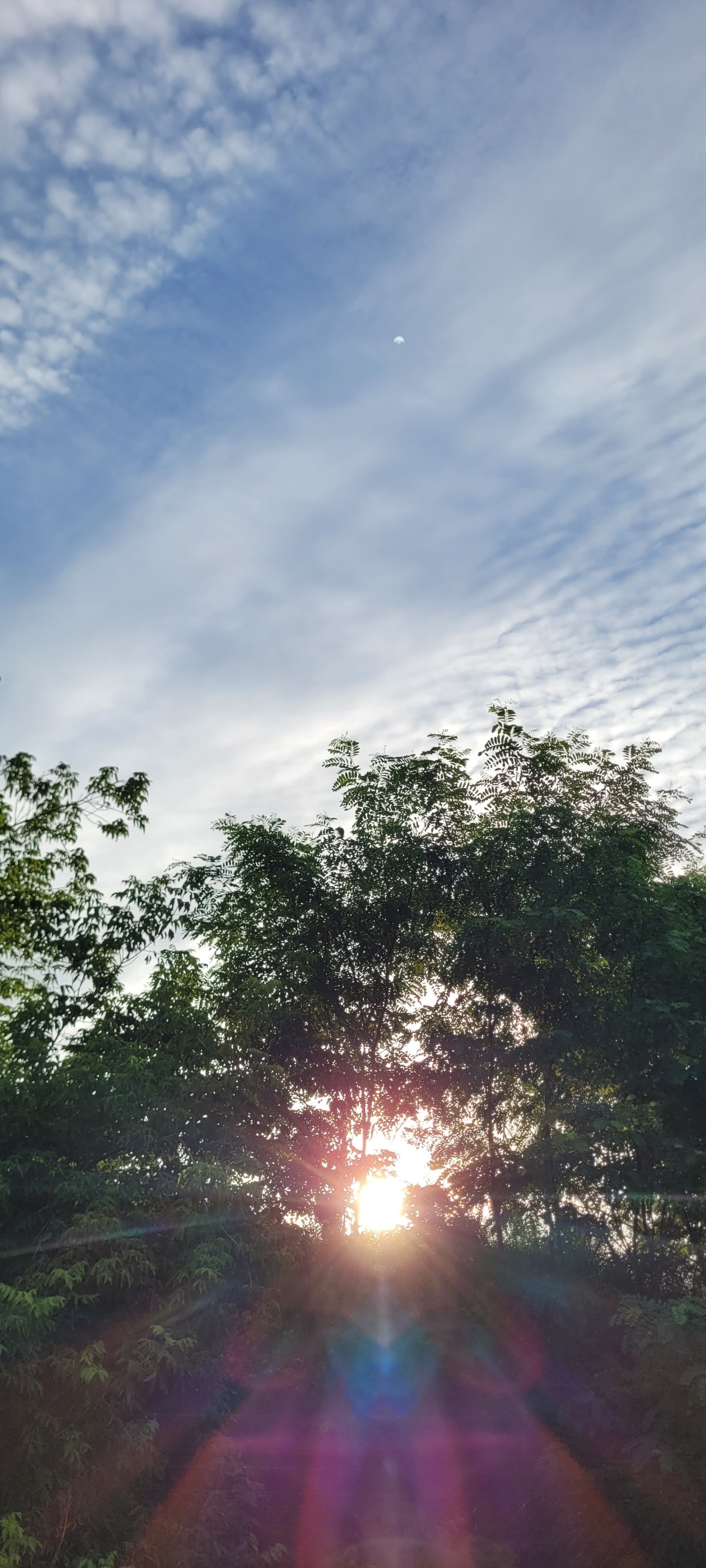 04ecd4f0-c161-47f6-947b-e3969032d19b