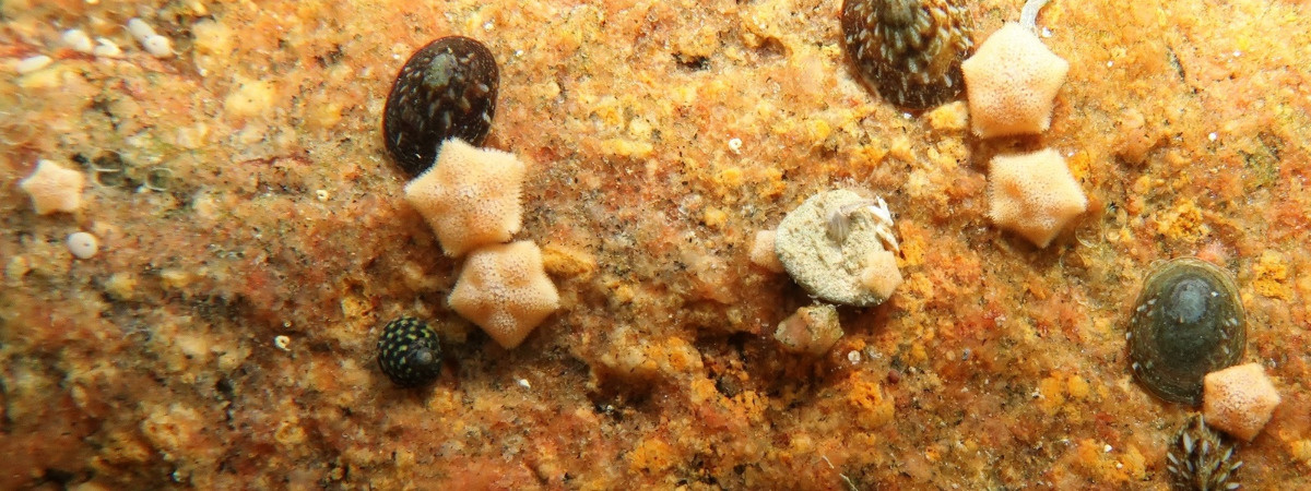 59e6423b-fa4d-41bc-b2cd-d79a1507e22a