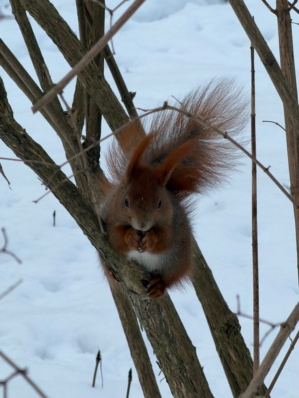 192c3876-b793-4096-8ffe-591a327ce5d2