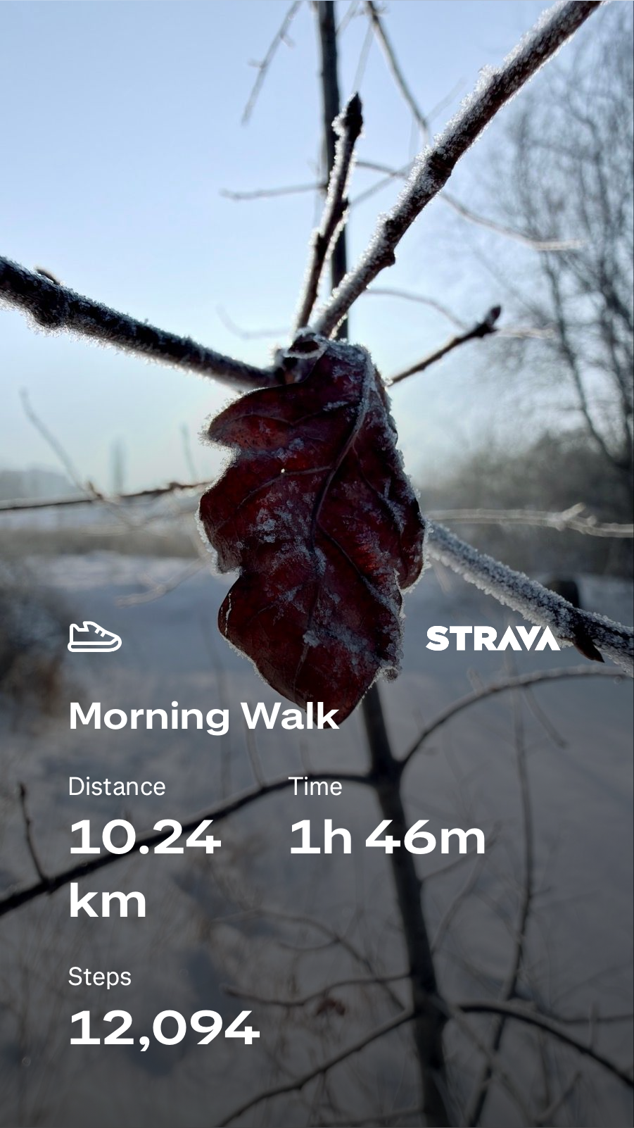 e4ffd72e-3940-4bcc-a3a0-2a0ed00408fa