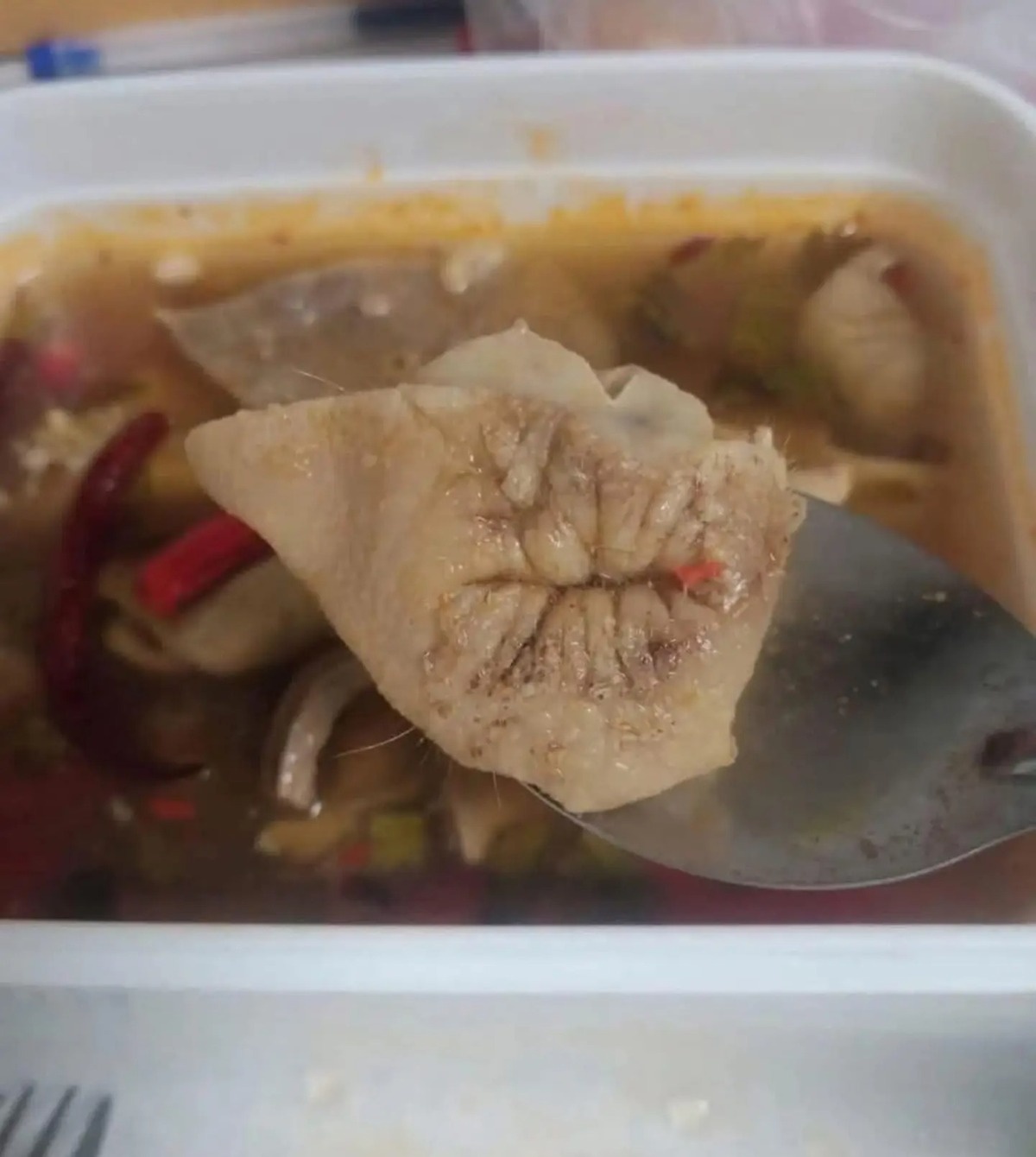 ff82f6ce-09e1-457c-86a6-b2cb76992a90