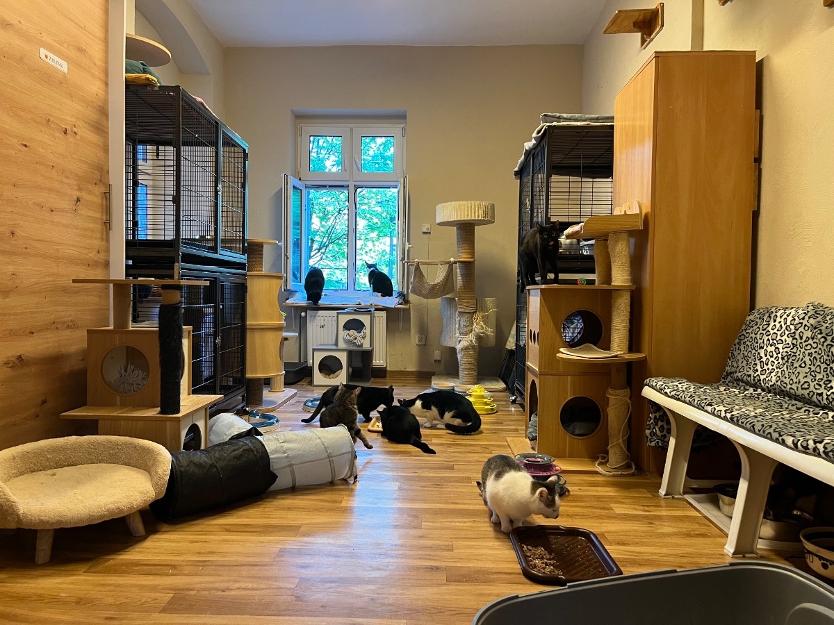 8c75b36e-da51-40a8-a11c-96e650404f06