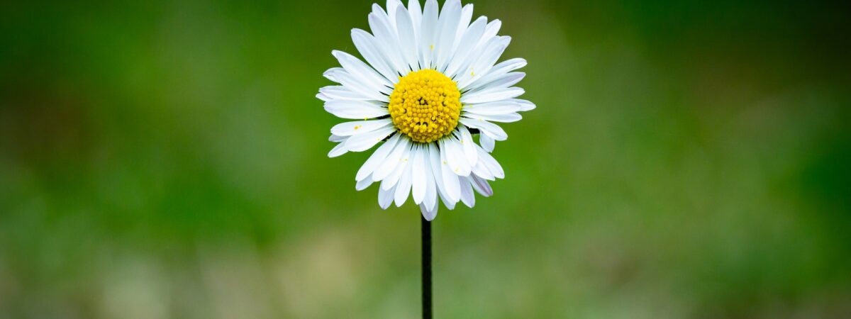 31c8613d-64c3-4ca1-9cd6-647ac3285db0