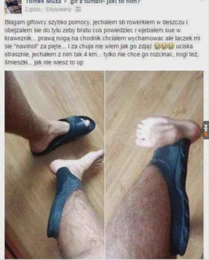 f740ae1d-378c-45bd-88de-af477a5d23c7