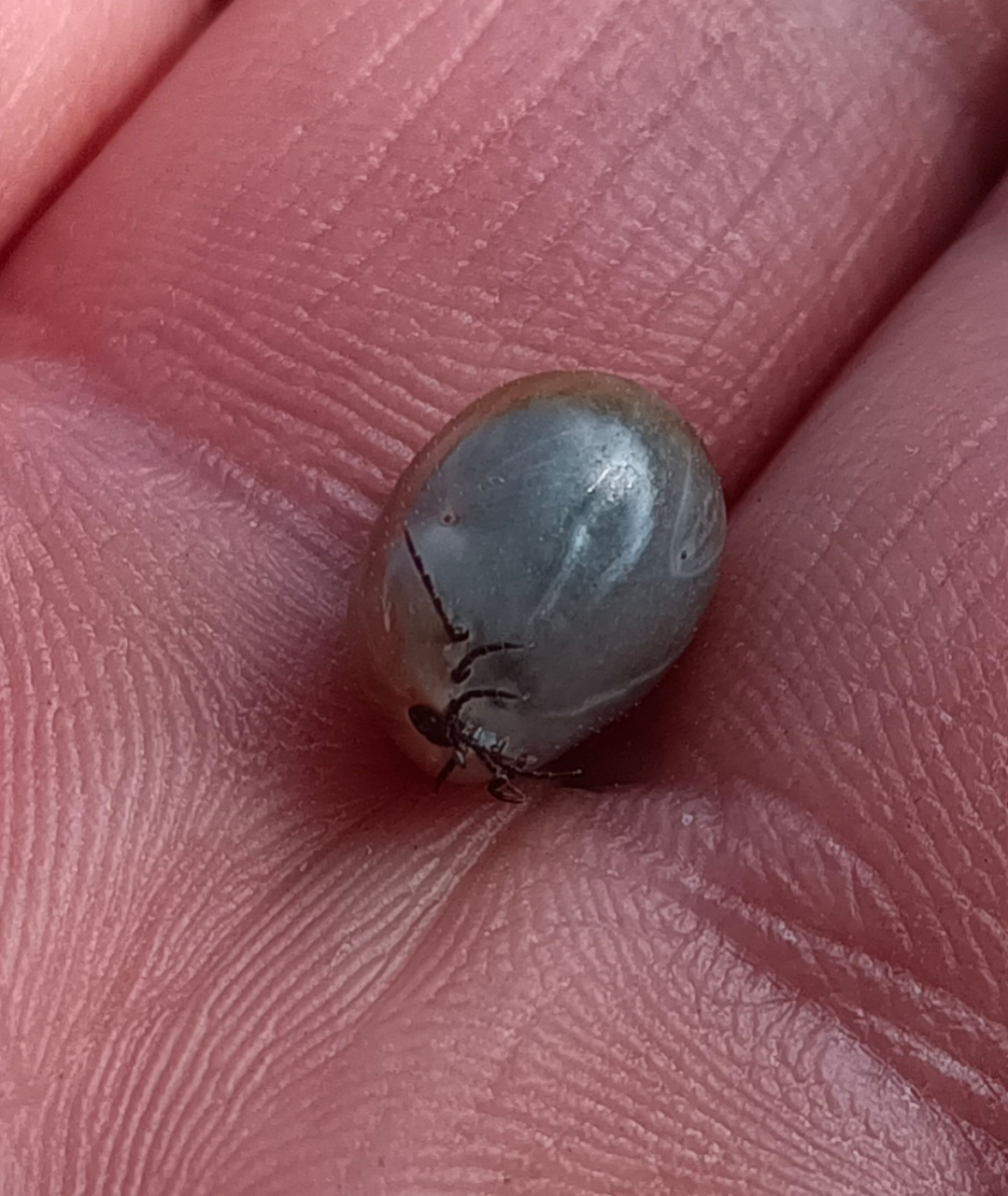 2b94e28e-cc06-4383-b6e0-f5226fc42acc