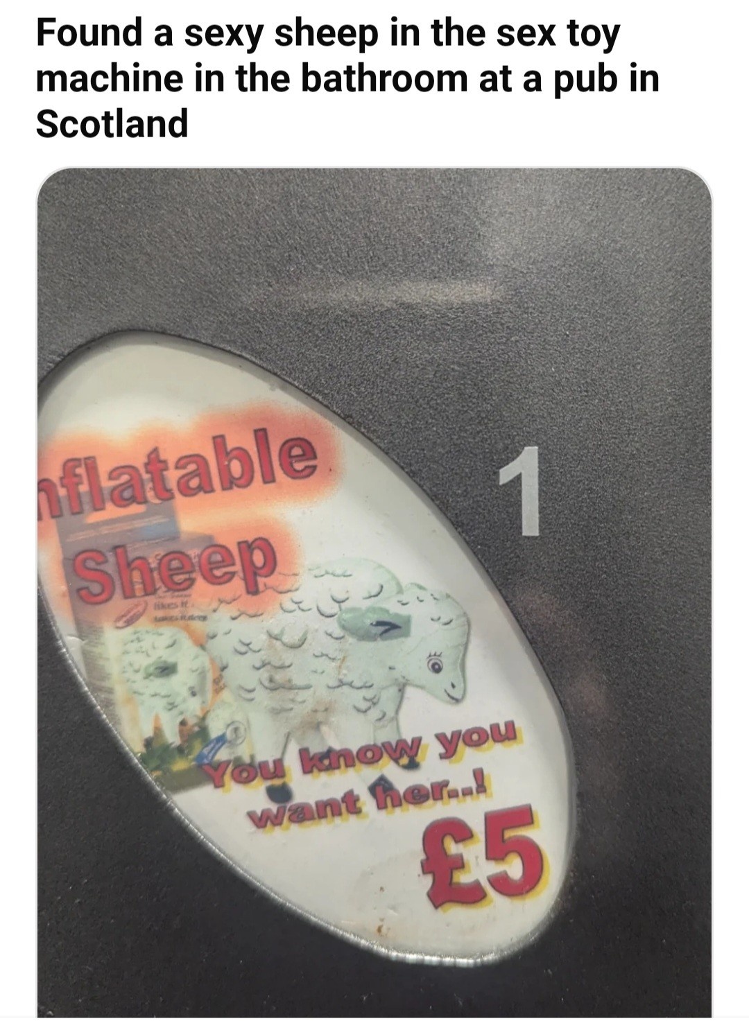 ec0142fa-47c8-4c45-a142-3f01d33c4825