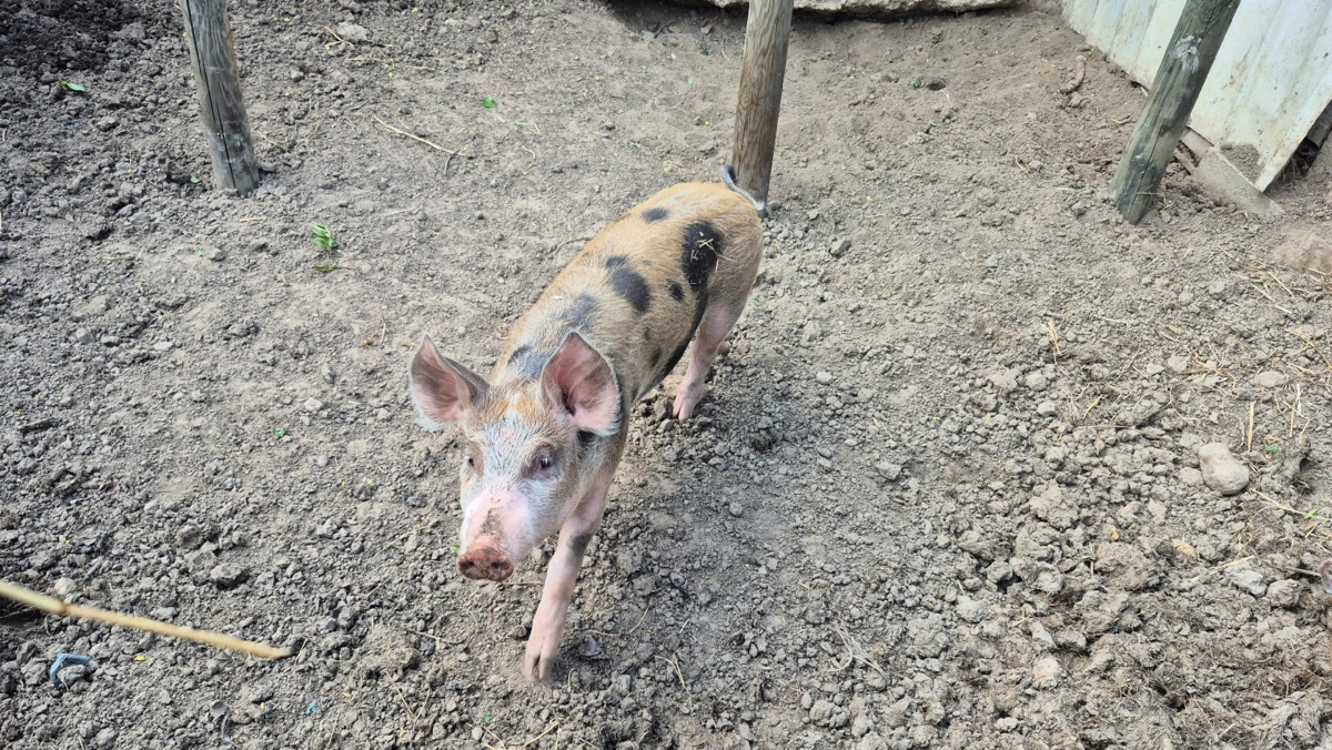 6124ccd7-e926-4f78-9142-44030e8ec780