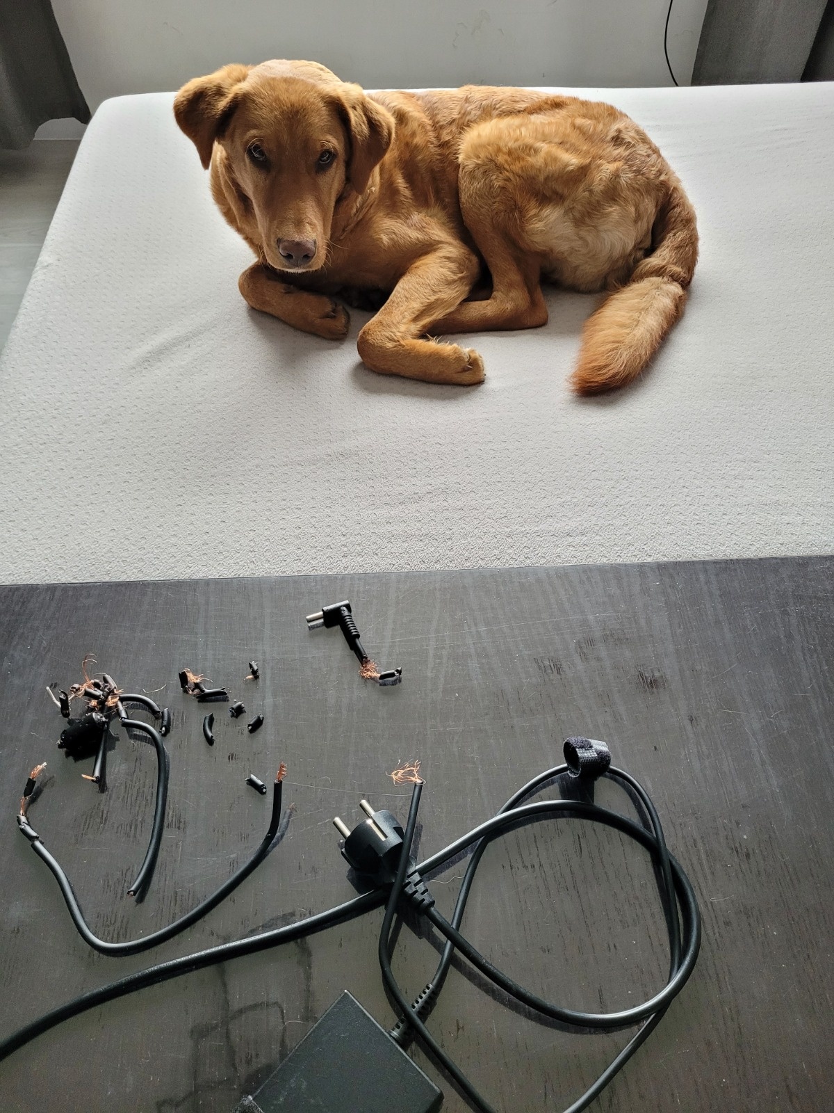 78159bc5-26fe-41e2-b3d2-6993f62fc58c