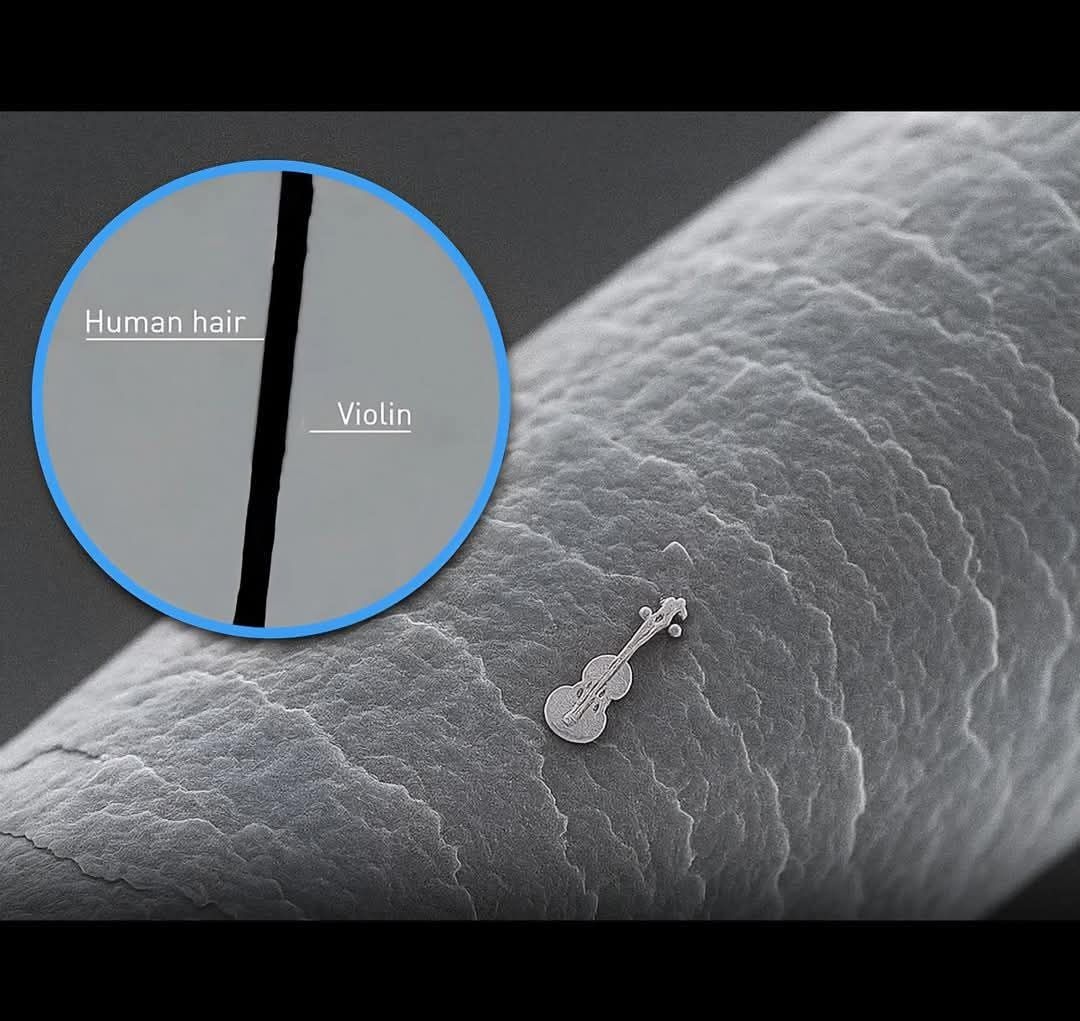 ad4208dd-b572-43df-90e4-05687f521ab5