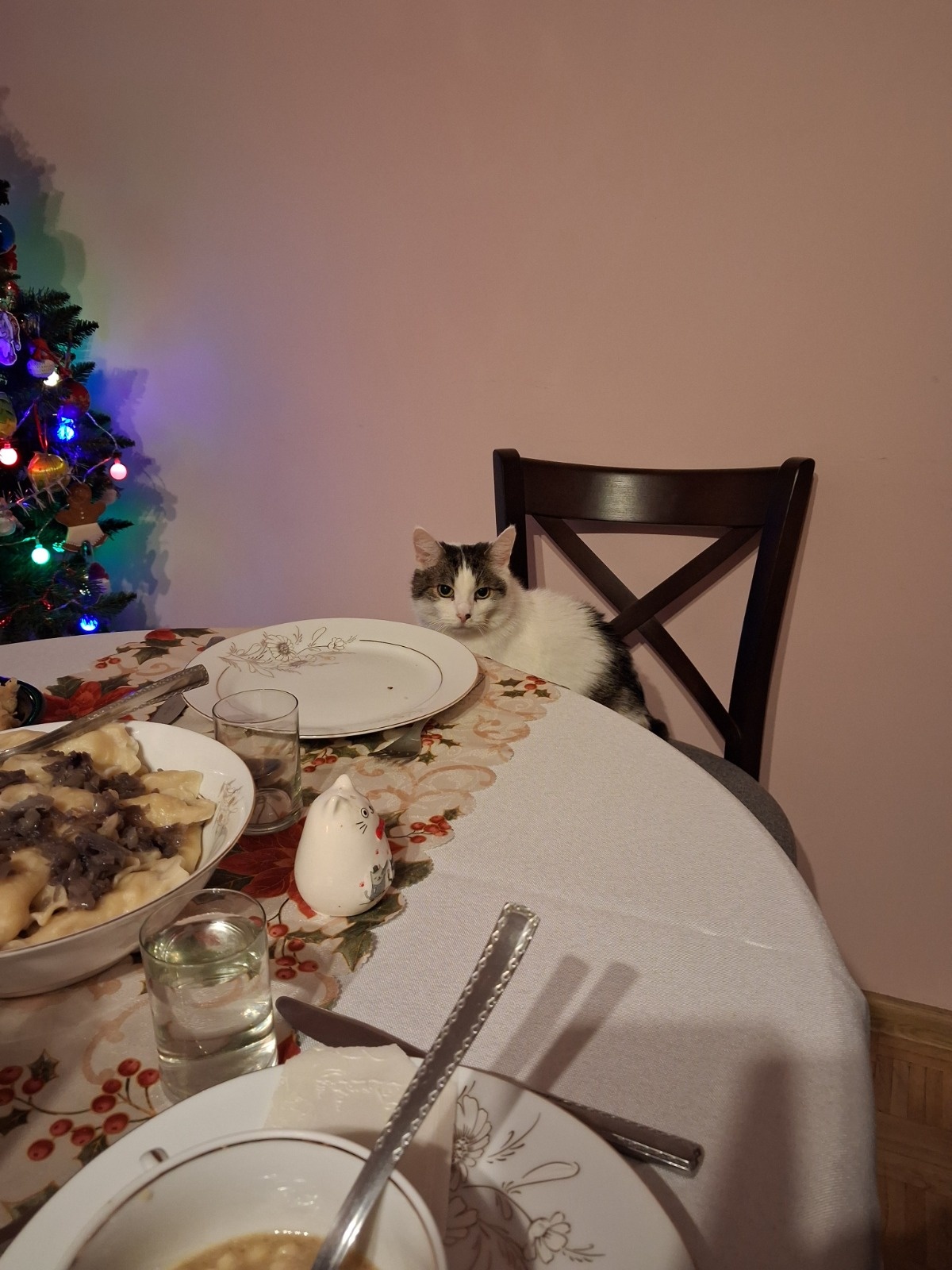 77ed1cd7-f334-4eac-b10a-c92ce50b2970