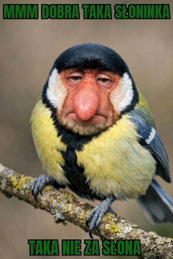 1fa7d097-e668-4701-b5a6-cb209f8eba8d