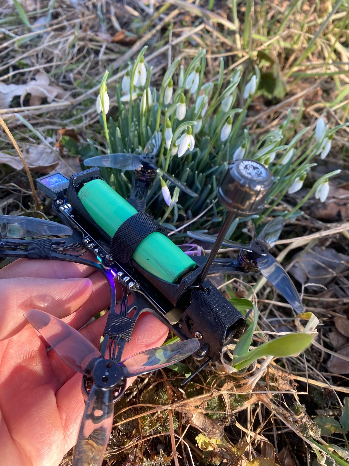 008d86d9-02ad-4f0e-82d7-47d5ab652cc6