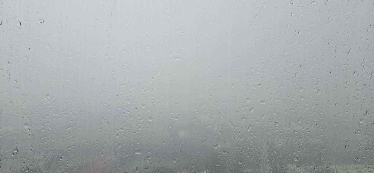 d179b7a3-b509-4c54-b47e-dedc34d092de