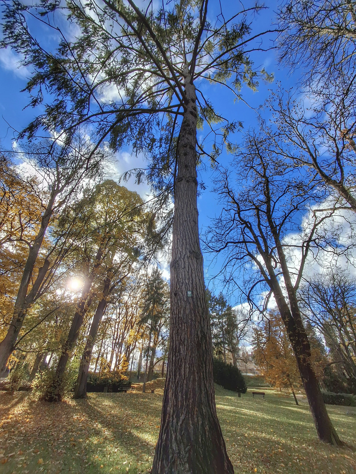 085fa9ec-5077-4b47-a023-fda6f05b0648