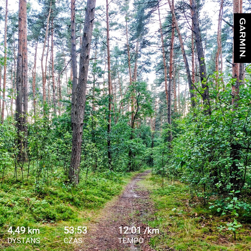 a29a2ee9-d28c-48c8-8fc8-35839ac85936