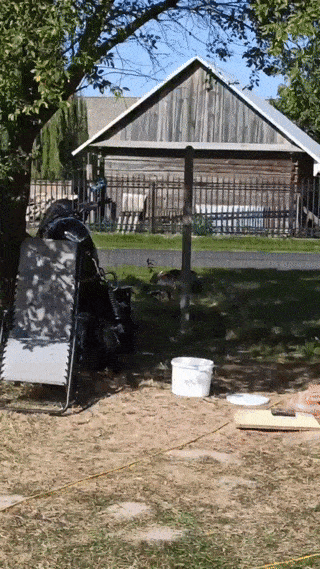 af9b9e63-0736-467a-91a4-e0eb9bb71f22