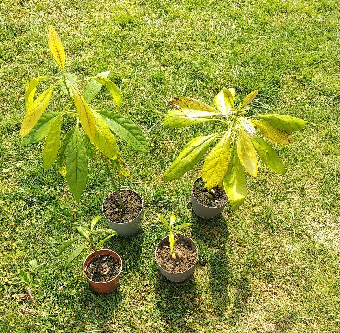 f3dbf1f6-c619-4446-aa83-7a9df23fc784