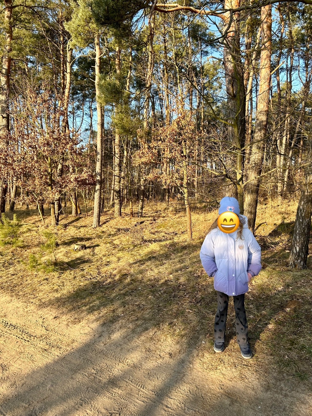 1a5e88de-37d4-4f17-acc8-377897e4cb17