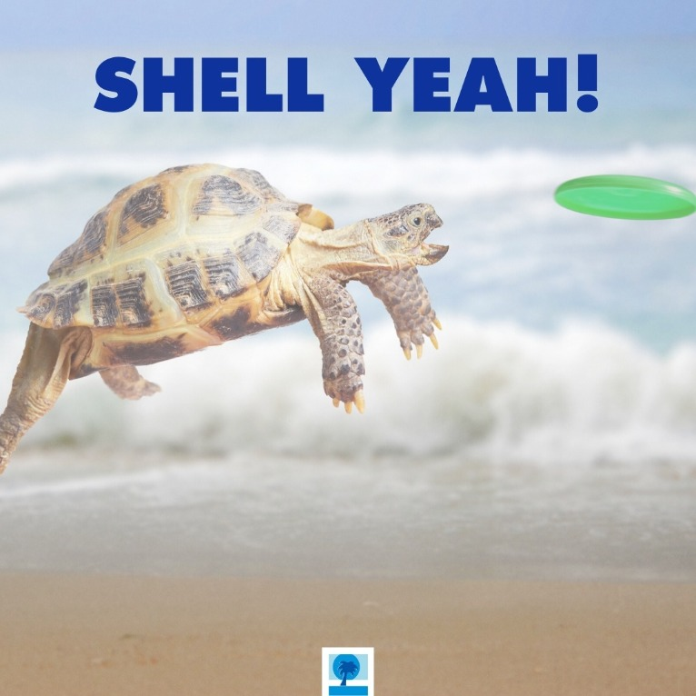 3b1ed11e-bee6-4b2f-b12e-45df4371768e