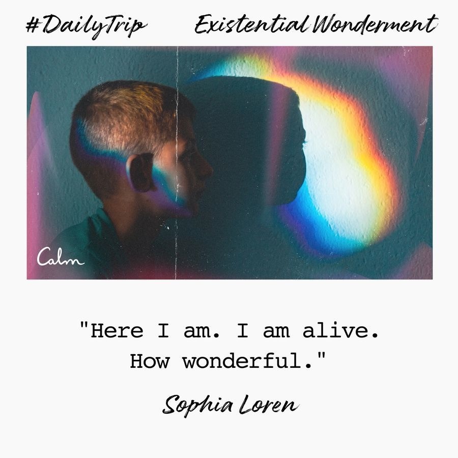 9c67eeab-aa72-4d53-9983-f70416708696