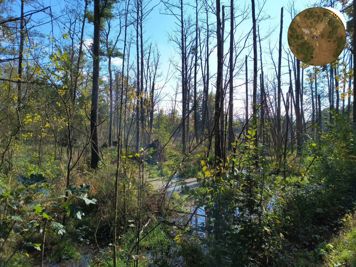 0f3c31b3-4c66-4128-b9fe-7e36f6368f4b