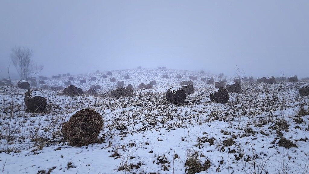 0f1731c3-c21c-4ec6-8f56-cdd0334c7509