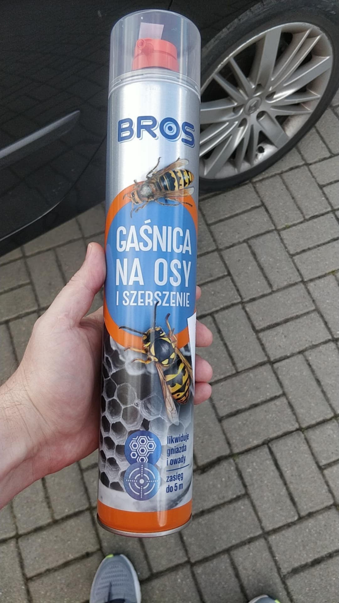 003c2b38-f563-431f-8737-94497659eac0