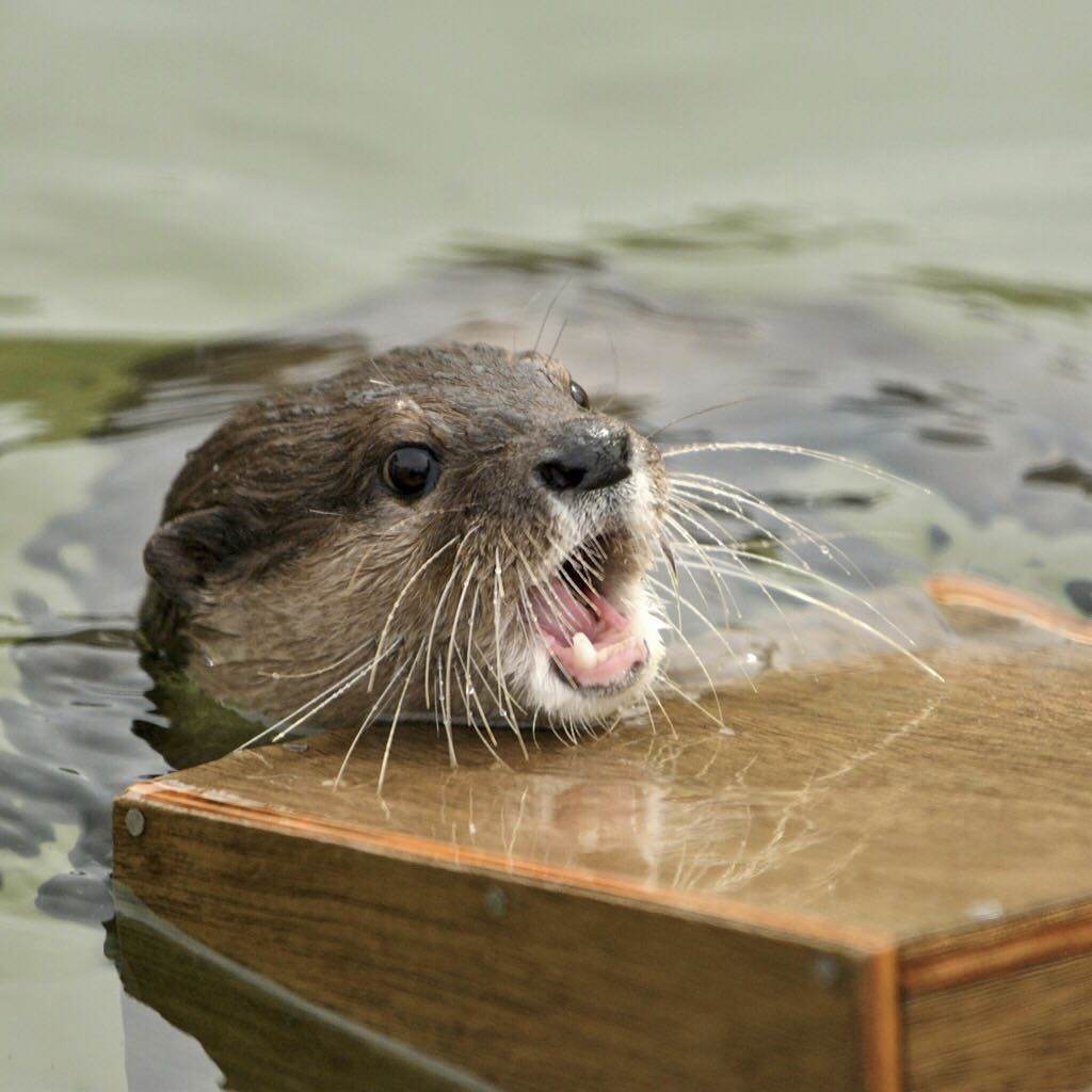 5dd54c19-6528-41d4-8bf0-ead355cf4137