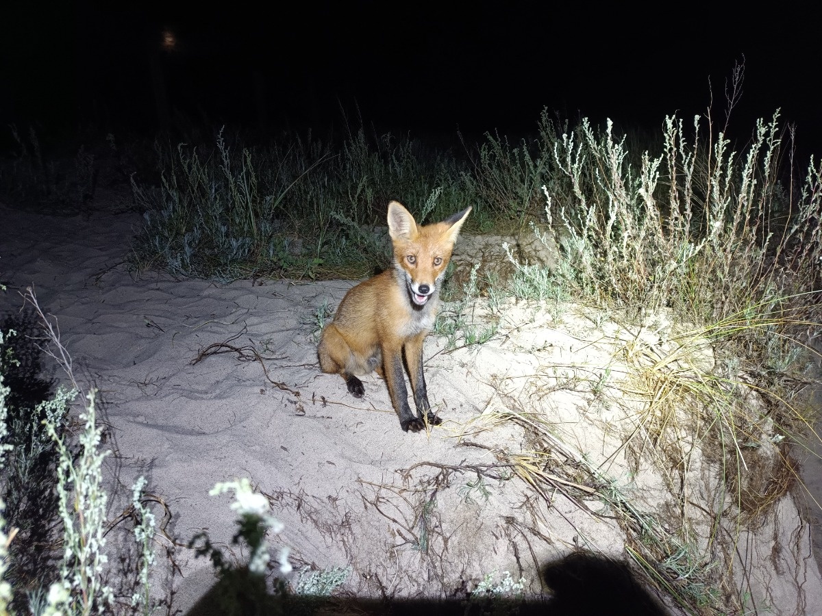 aa5f3774-9cb2-475e-abba-56795ac1f9fb