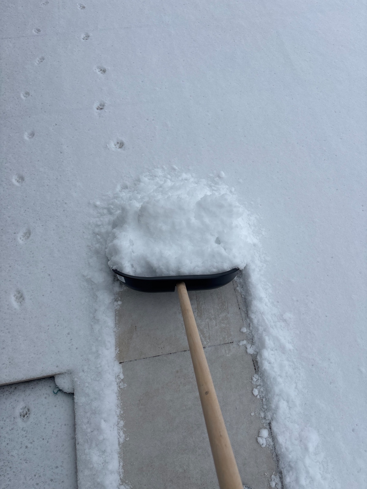 194991e2-ae07-4830-84d2-53a755f72557