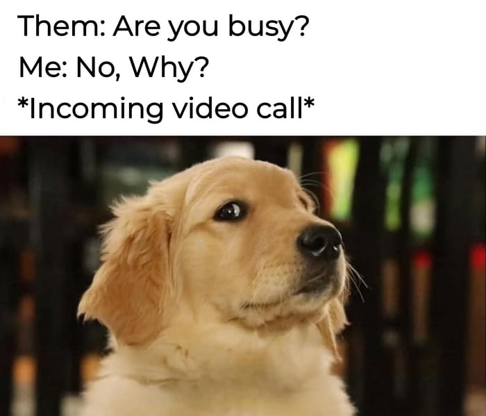 2d0b0ead-aa42-4027-b88e-cc0d7879bcdc