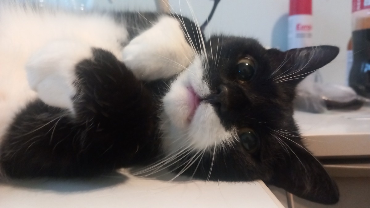 3b24ff99-8d60-4d49-a9dc-7c8d242b5d6d