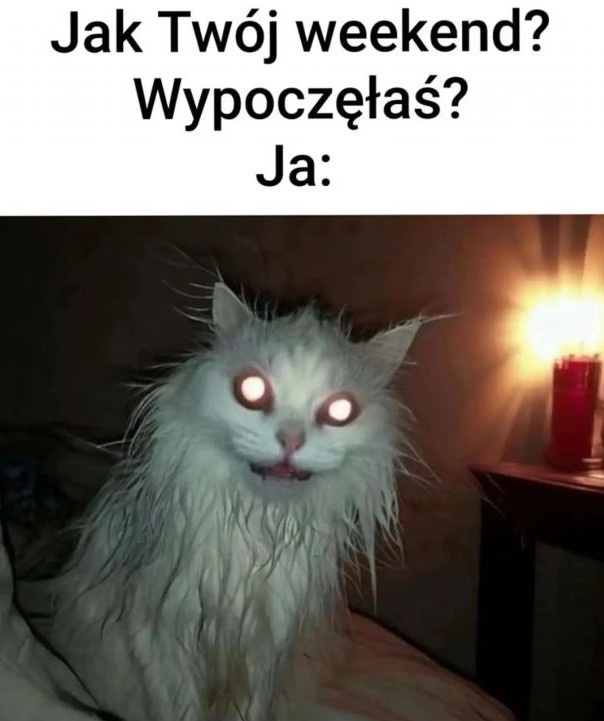 3cb7a0ad-07f7-42b3-a378-4c867e292826