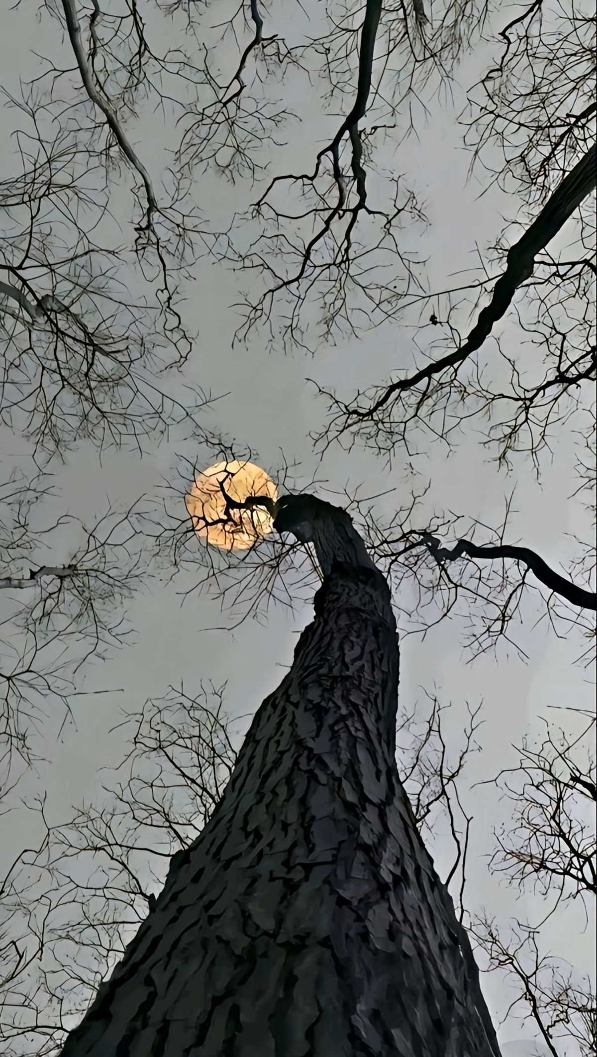 c49e2b49-b147-47b3-809f-a6442e352c5b