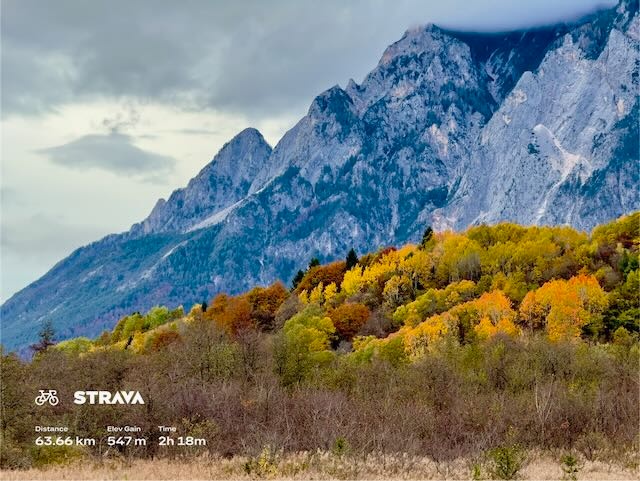 9cef8f45-0eae-4adb-8bd7-7ff3012f9b1c