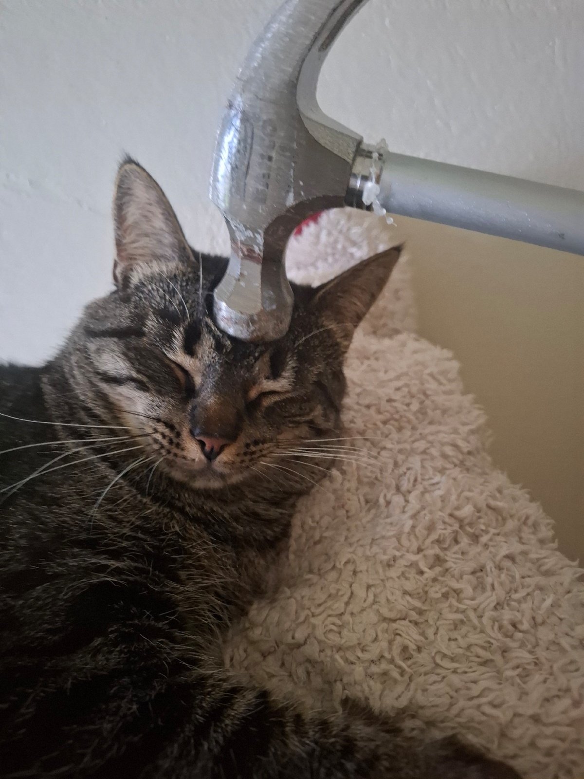 1f1f40b4-4962-4673-8a31-8d01485d468d