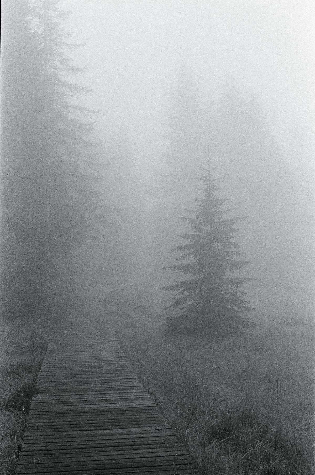 c3285b5c-33d6-44cc-9239-99dbae688d85