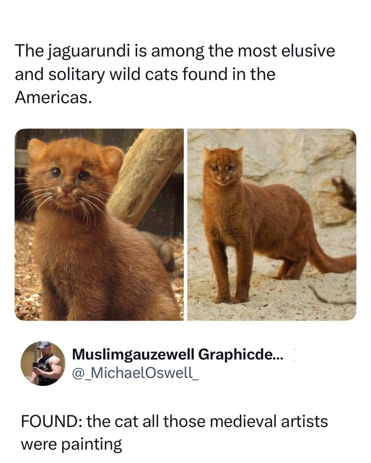 dbea868a-d94a-4b38-8a86-bd1cbe642e6a