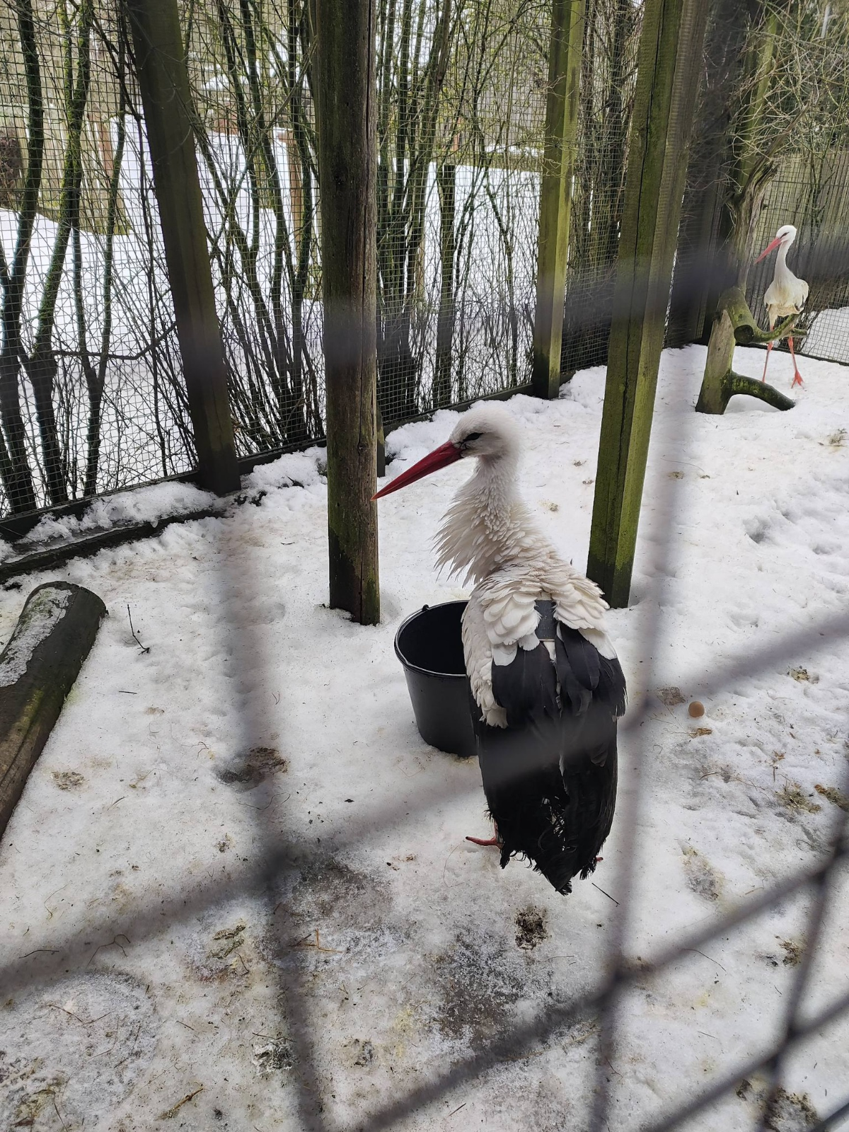 b60c550d-363f-4a02-9aff-72d793bbcfa0