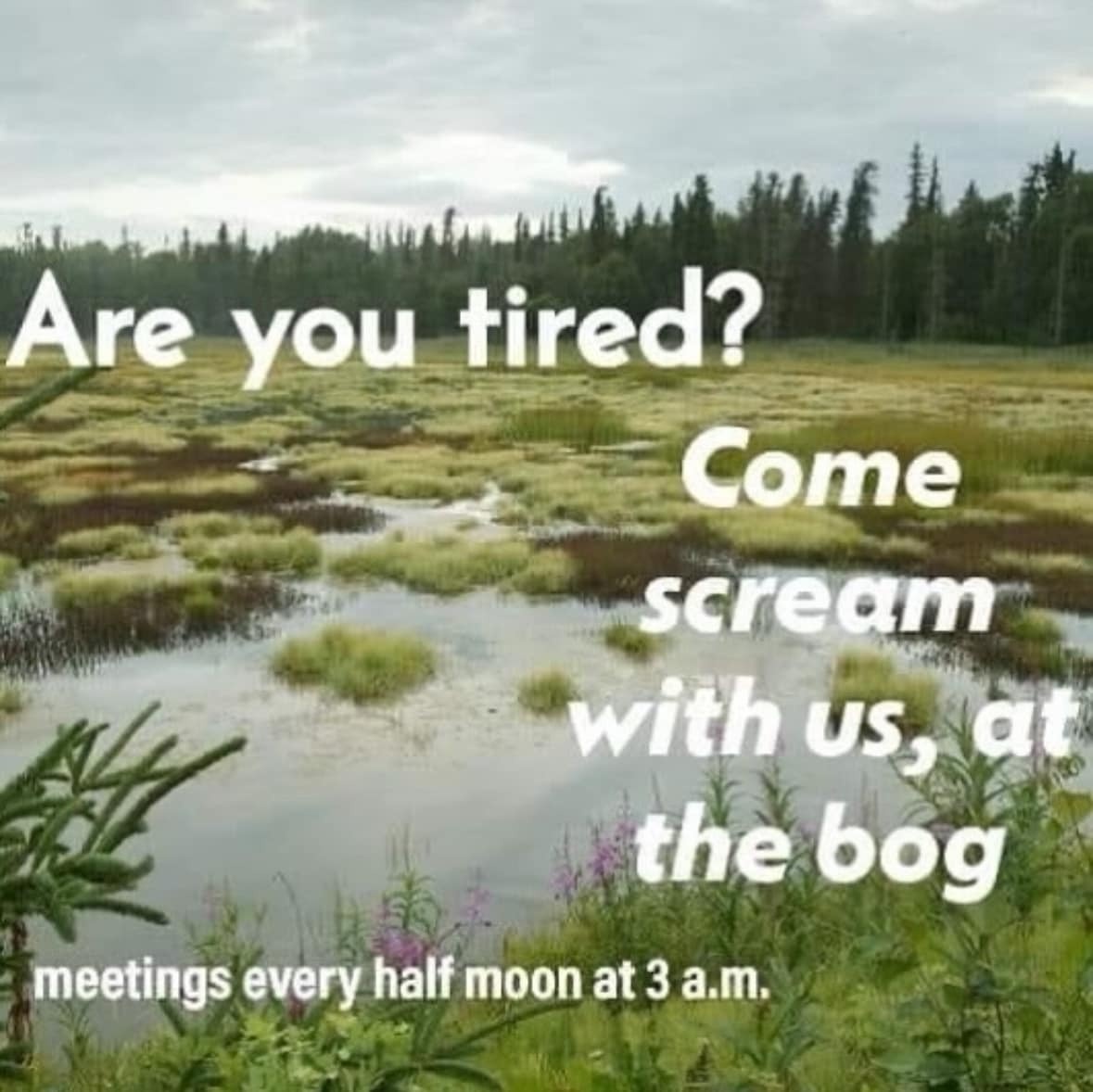 a90e52a5-045b-4a71-a4c8-0183f9d0d1fb