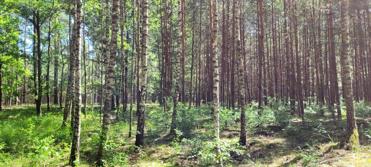 fe05fcc8-0f63-41fe-b15a-d905e610d1be